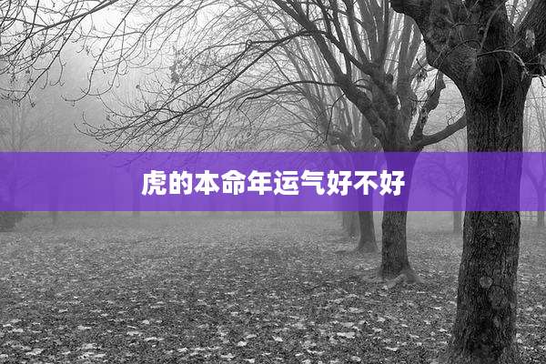 虎的本命年运气好不好