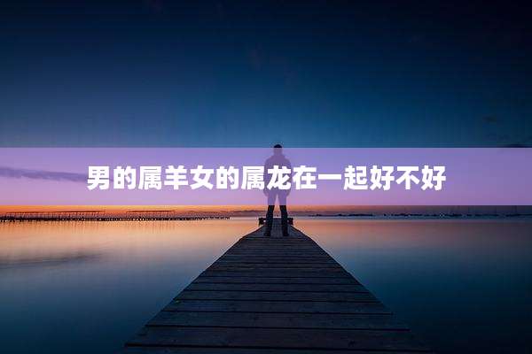 男的属羊女的属龙在一起好不好