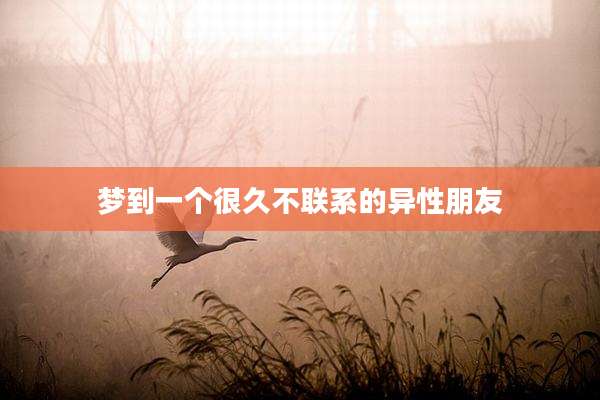 梦到一个很久不联系的异性朋友