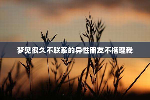 梦见很久不联系的异性朋友不搭理我