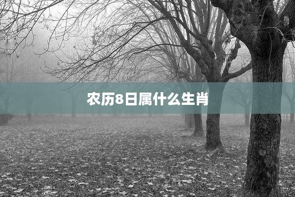 农历8日属什么生肖