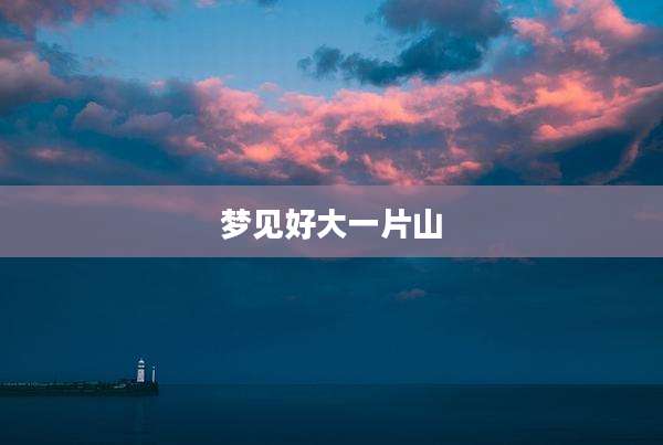 梦见好大一片山