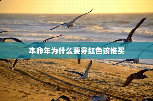 本命年为什么要穿红色该谁买
