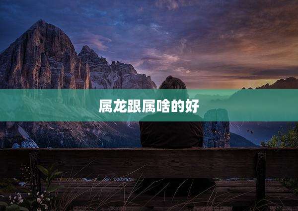 属龙跟属啥的好