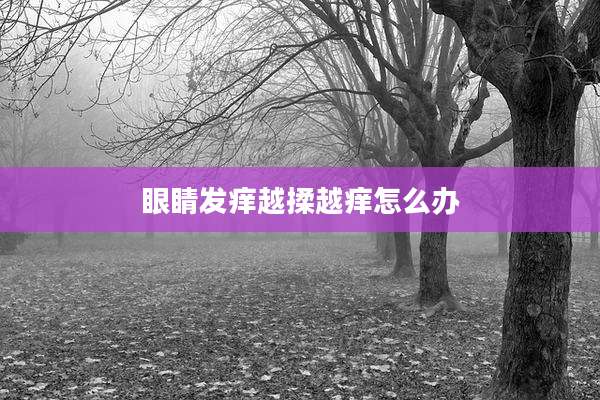 眼睛发痒越揉越痒怎么办