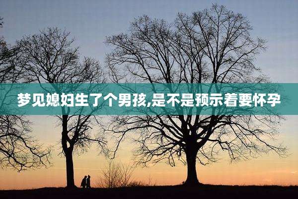 梦见媳妇生了个男孩,是不是预示着要怀孕