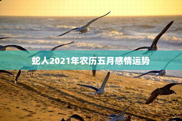 蛇人2021年农历五月感情运势