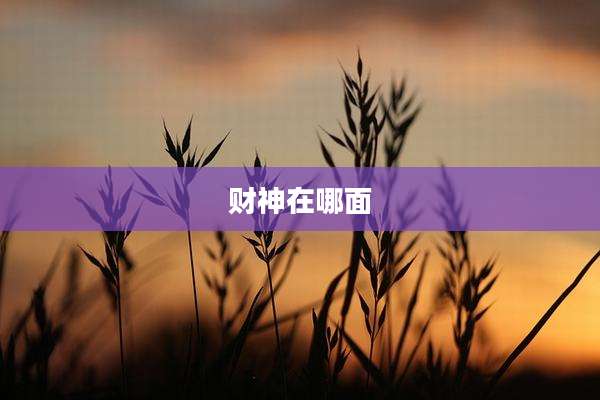 财神在哪面