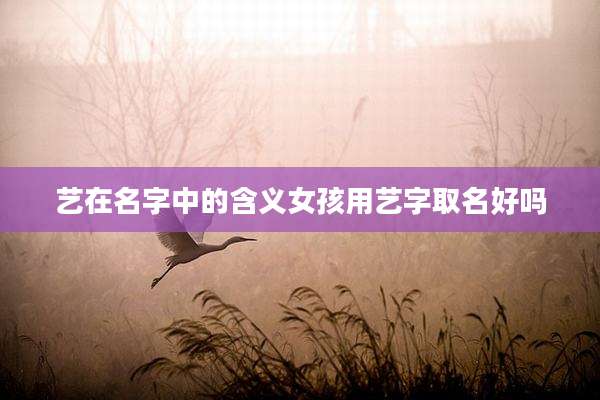 艺在名字中的含义女孩用艺字取名好吗