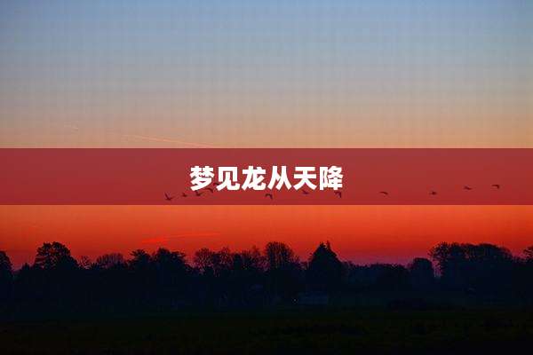 梦见龙从天降