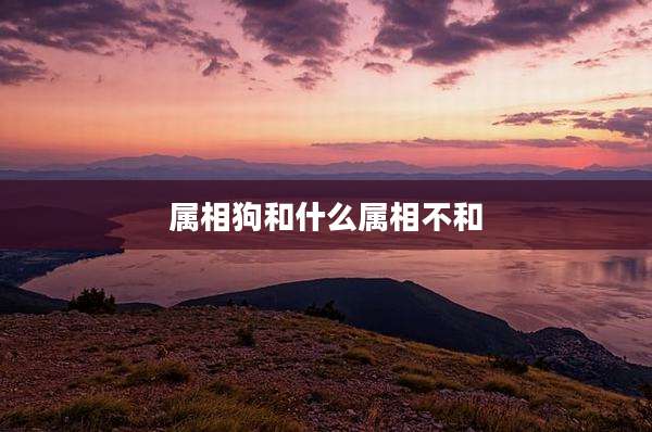 属相狗和什么属相不和