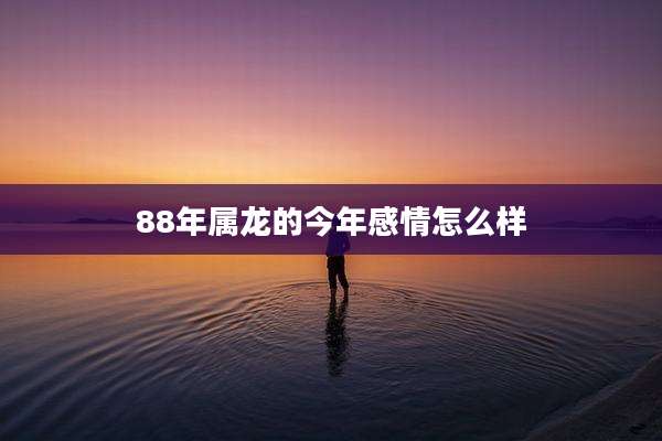 88年属龙的今年感情怎么样