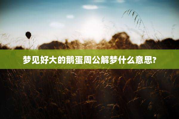 梦见好大的鹅蛋周公解梦什么意思?