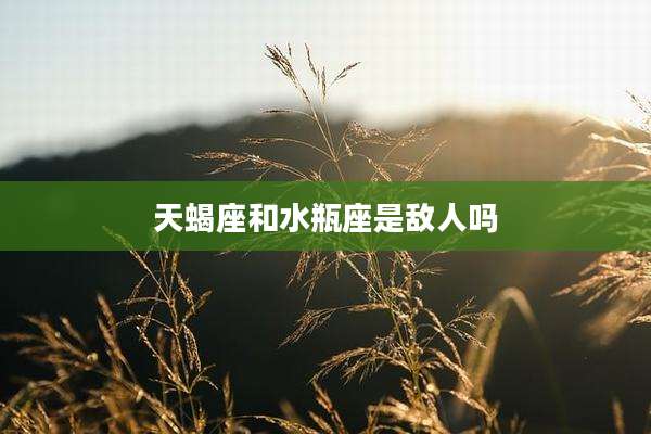 天蝎座和水瓶座是敌人吗