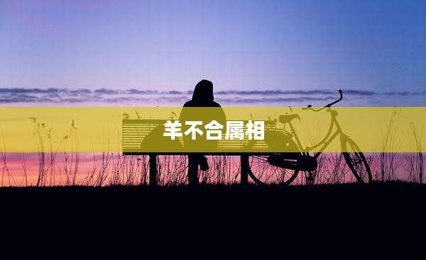 羊不合属相