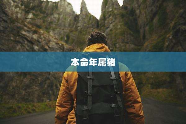 本命年属猪