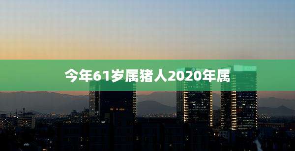 今年61岁属猪人2020年属