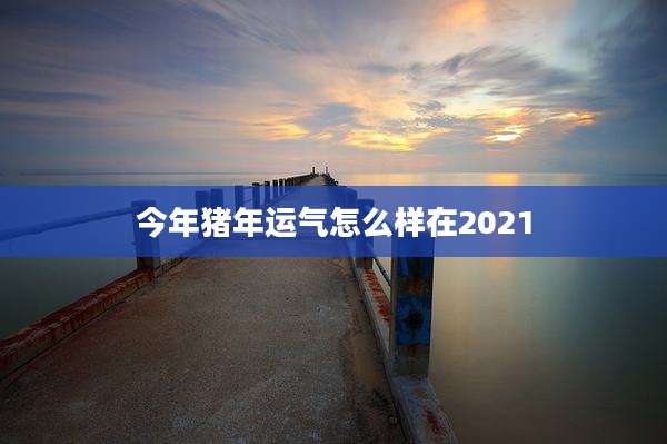 今年猪年运气怎么样在2021