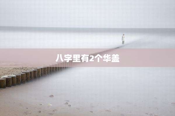 八字里有2个华盖