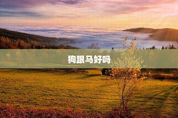 狗跟马好吗