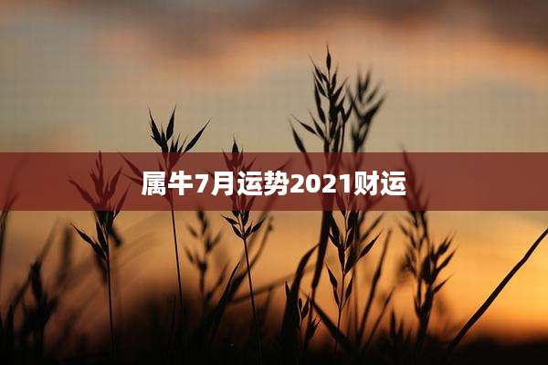 属牛7月运势2021财运