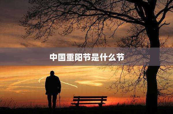 中国重阳节是什么节