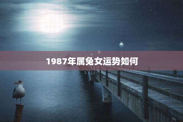 1987年属兔女运势如何