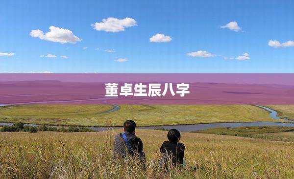 董卓生辰八字