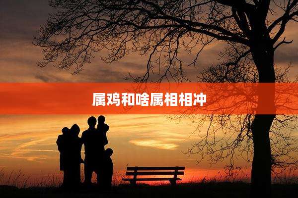 属鸡和啥属相相冲