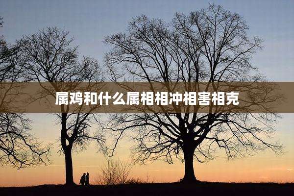 属鸡和什么属相相冲相害相克