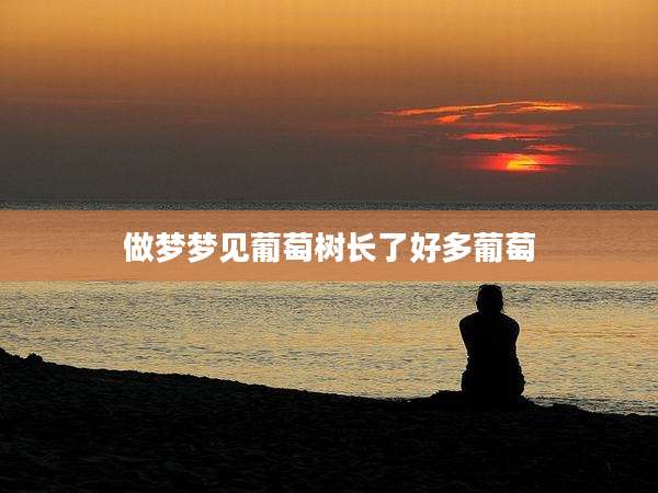 做梦梦见葡萄树长了好多葡萄