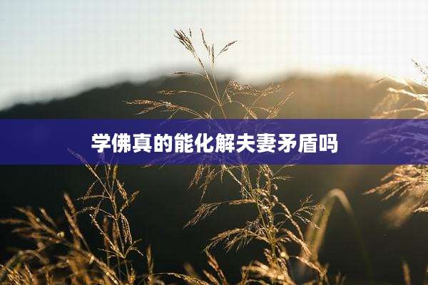学佛真的能化解夫妻矛盾吗