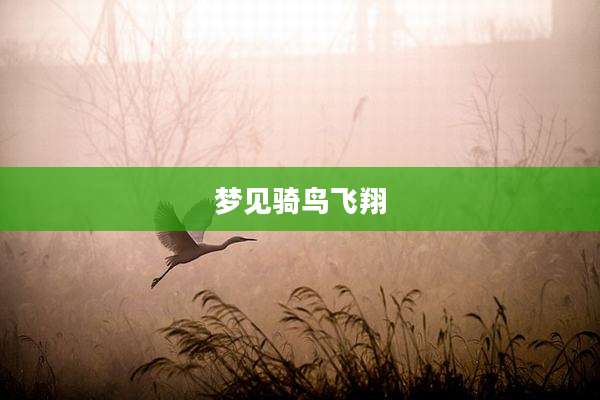 梦见骑鸟飞翔