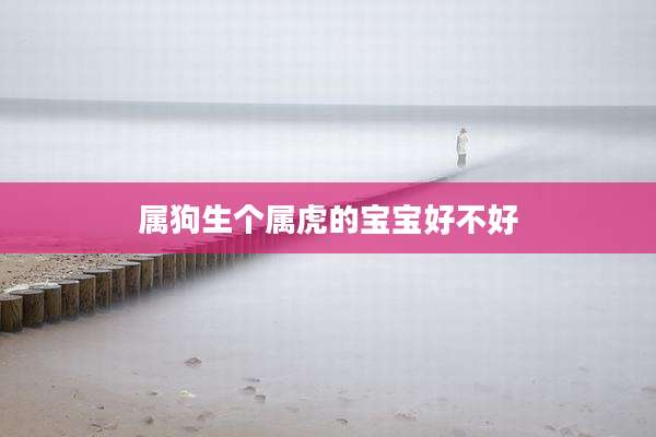 属狗生个属虎的宝宝好不好