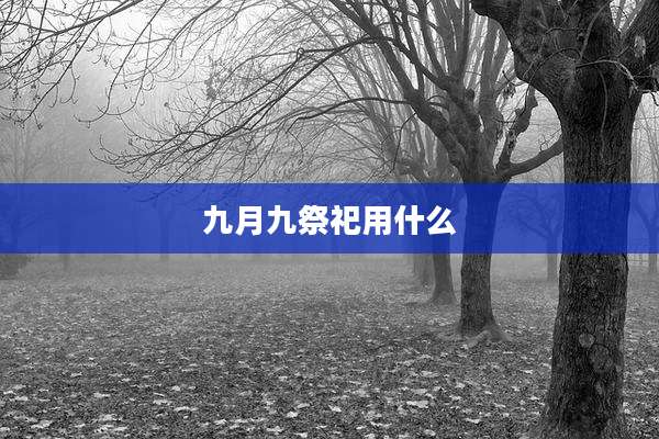 九月九祭祀用什么