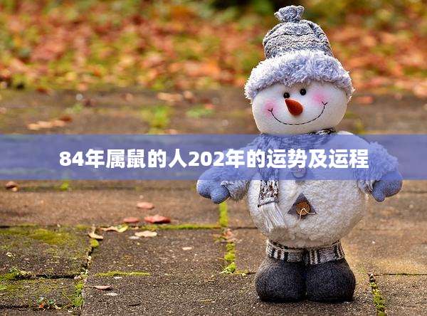 84年属鼠的人202年的运势及运程