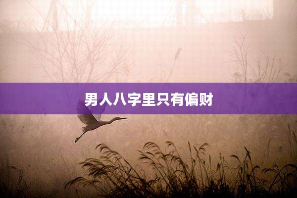 男人八字里只有偏财