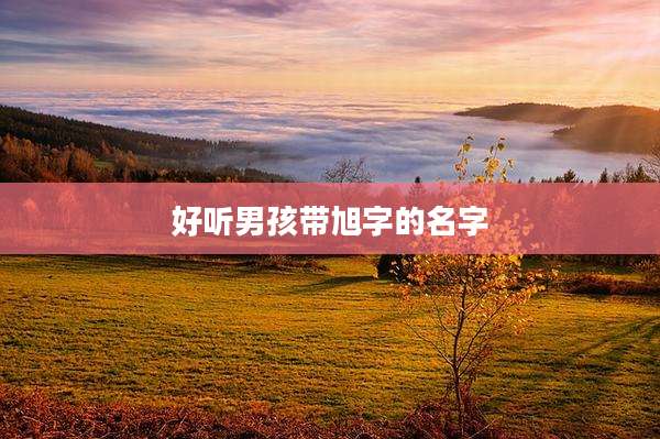 好听男孩带旭字的名字