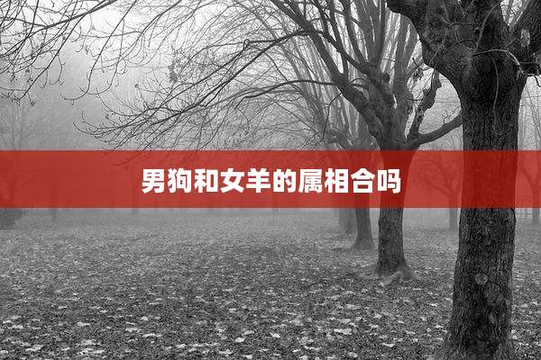 男狗和女羊的属相合吗