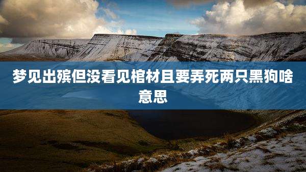 梦见出殡但没看见棺材且要弄死两只黑狗啥意思