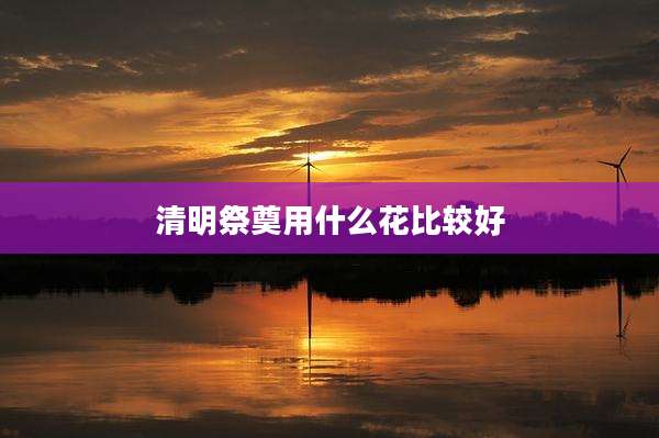 清明祭奠用什么花比较好