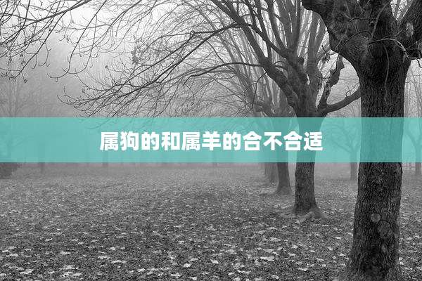属狗的和属羊的合不合适