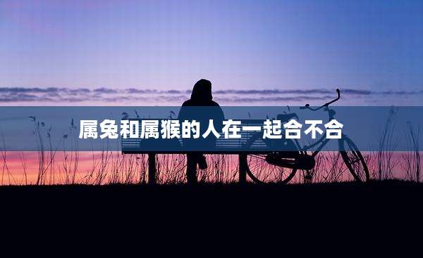 属兔和属猴的人在一起合不合