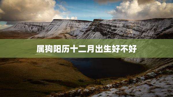 属狗阳历十二月出生好不好