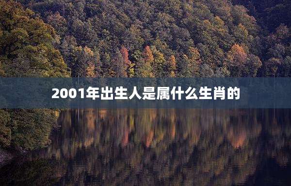 2001年出生人是属什么生肖的
