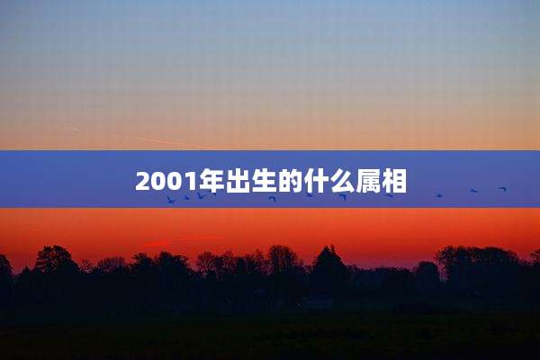 2001年出生的什么属相