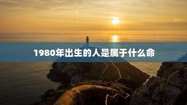 1980年出生的人是属于什么命