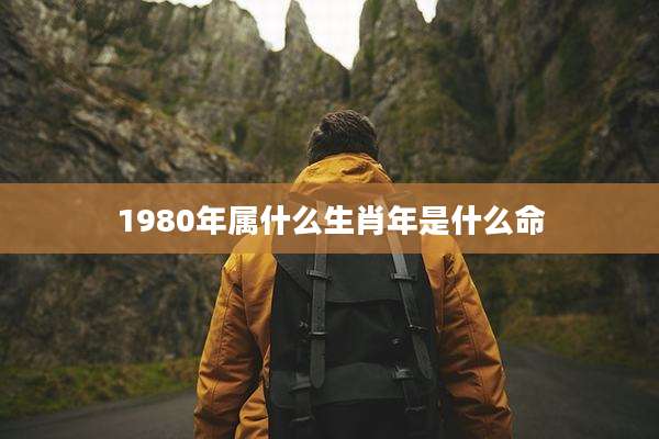 1980年属什么生肖年是什么命