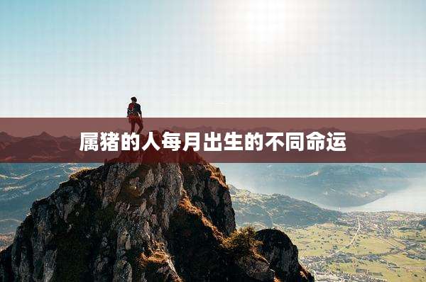 属猪的人每月出生的不同命运