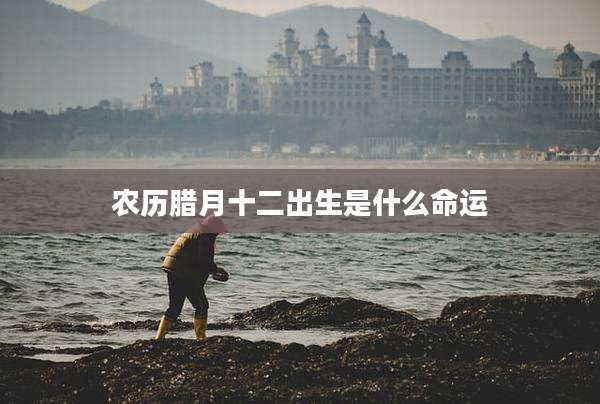 农历腊月十二出生是什么命运